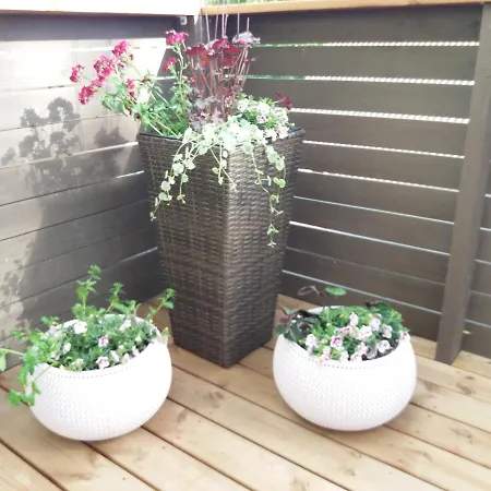 Lille Lux Appartement *