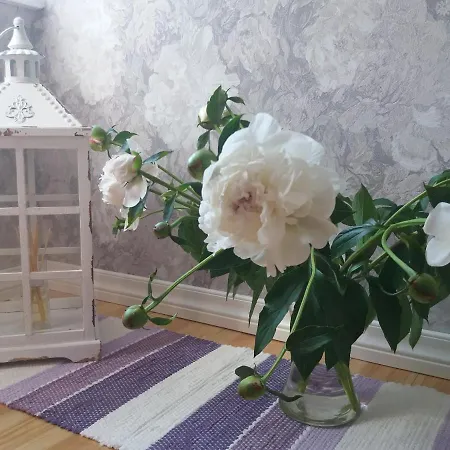 Lille Lux * 维尔扬迪