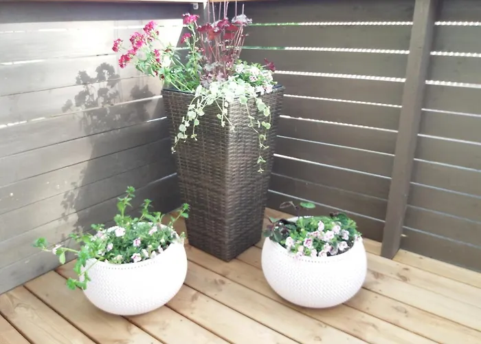 Lille Lux Apartman *