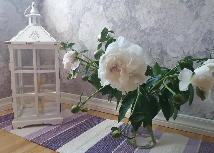 Lille Lux * Viljandi